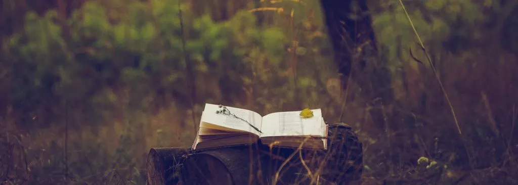 Featured image for My Notebook